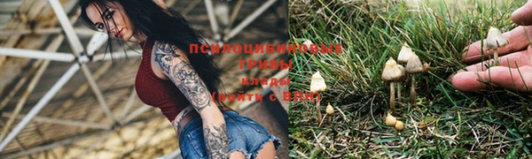 кокс Зерноград