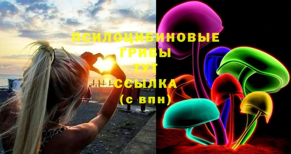 тгк Семёнов