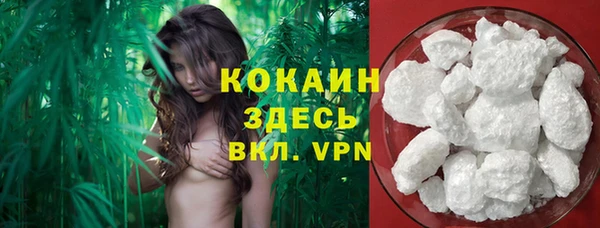 мяу мяу мука Зеленокумск
