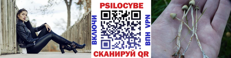 Галлюциногенные грибы Magic Shrooms  Купить  Тобольск 